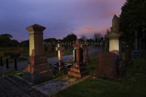 _june 2017 undercliffe cemetery 4.jpg